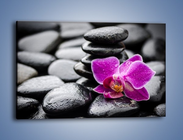Obraz na płótnie – Malutki kwiatek i morze kamieni – jednoczęściowy prostokątny poziomy K983