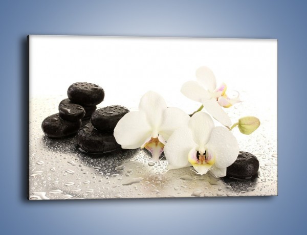 Obraz na płótnie – Mokre kwiaty i kamienie – jednoczęściowy prostokątny poziomy K986