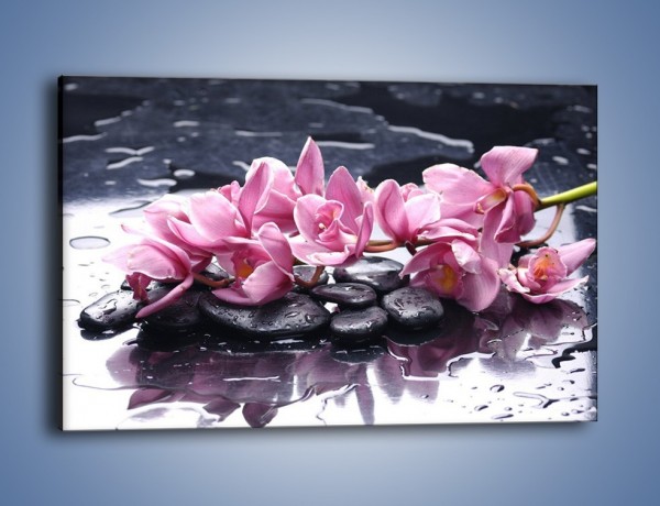 Obraz na płótnie – Rzucone kwiaty na wodę – jednoczęściowy prostokątny poziomy K997