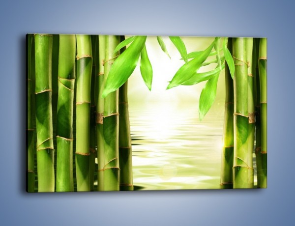 Obraz na płótnie – Bambusowe liście i łodygi – jednoczęściowy prostokątny poziomy KN027