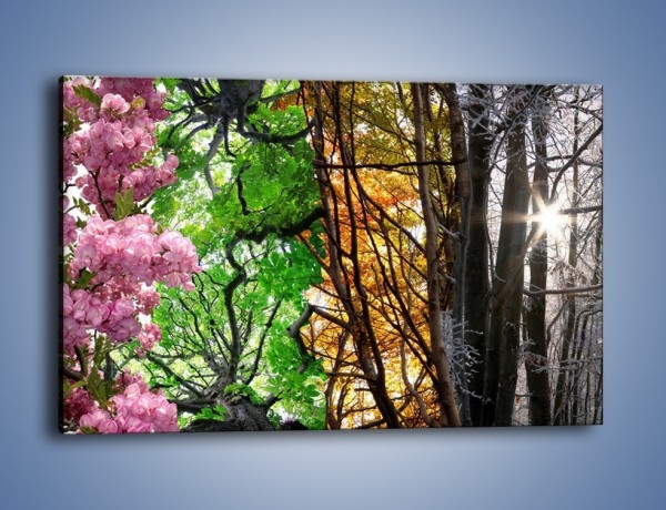 Obraz na płótnie – Drzewa w różnych kolorach – jednoczęściowy prostokątny poziomy KN037