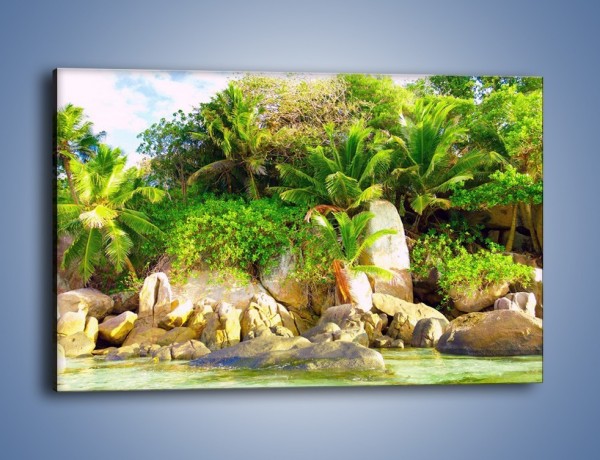 Obraz na płótnie – Ściana tropikalnych drzew – jednoczęściowy prostokątny poziomy KN086
