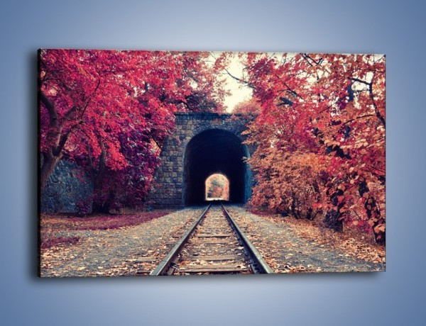Obraz na płótnie – Pociągiem przez jesień – jednoczęściowy prostokątny poziomy KN1023