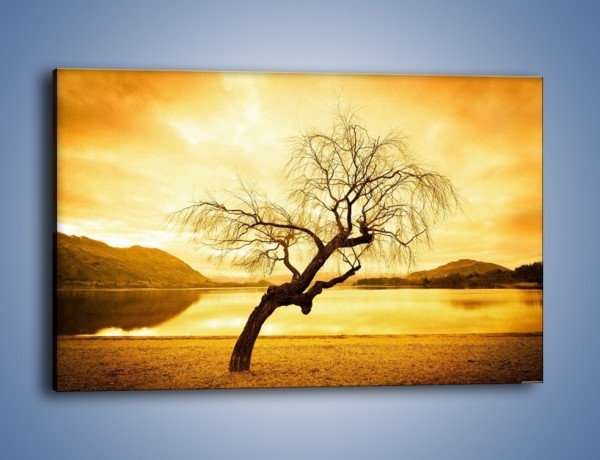 Obraz na płótnie – Pochylone drzewo w sepii – jednoczęściowy prostokątny poziomy KN1033