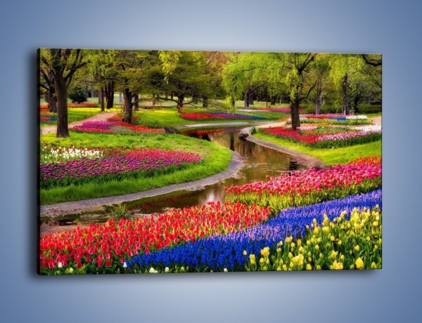 Obraz na płótnie – Aleje kolorowych tulipanów – jednoczęściowy prostokątny poziomy KN1079