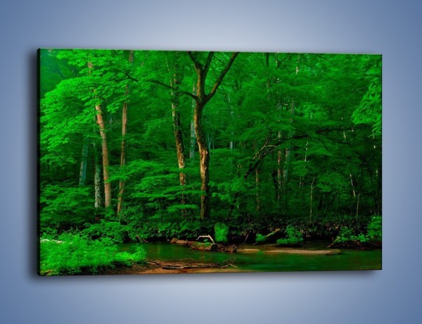 Obraz na płótnie – Mocno zarośnięty las – jednoczęściowy prostokątny poziomy KN1089A