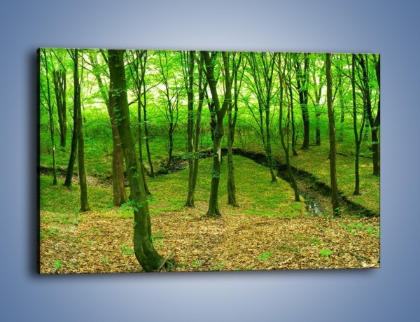 Obraz na płótnie – Wąskie spojrzenie na las – jednoczęściowy prostokątny poziomy KN1264A