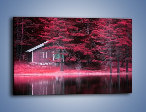 Obraz na płótnie – Kolor purpury w lesie – jednoczęściowy prostokątny poziomy KN1266A