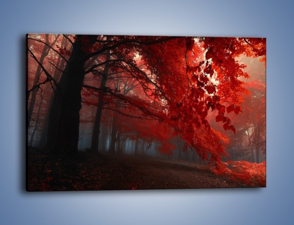 Obraz na płótnie – Smutna jesień lasu – jednoczęściowy prostokątny poziomy KN1267A