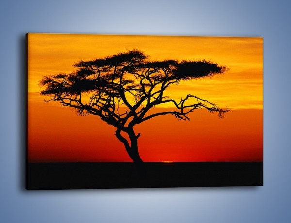 Obraz na płótnie – Zachód słońca i drzewo – jednoczęściowy prostokątny poziomy KN307