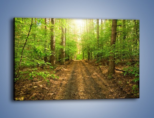 Obraz na płótnie – Leśną drogą jak z filmu – jednoczęściowy prostokątny poziomy KN324
