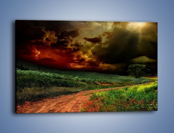 Obraz na płótnie – Groźne chmury nad łąką – jednoczęściowy prostokątny poziomy KN476