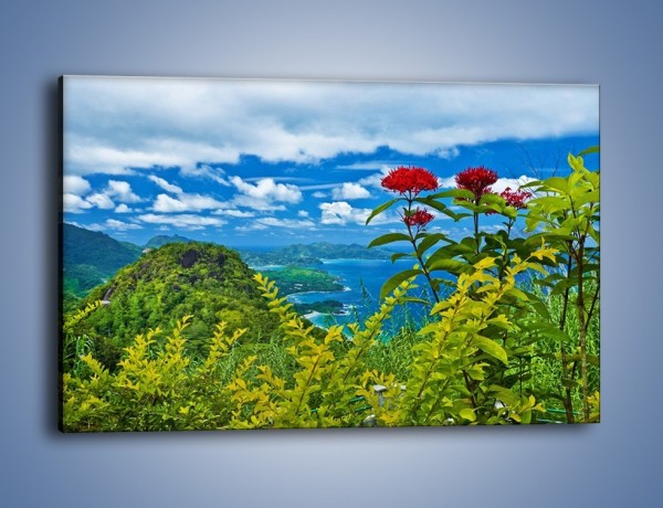 Obraz na płótnie – Bordowe kwiaty w górskim krajobrazie – jednoczęściowy prostokątny poziomy KN561