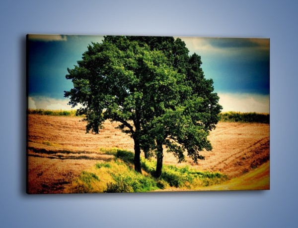 Obraz na płótnie – Para zaprzyjaźnionych drzew – jednoczęściowy prostokątny poziomy KN571