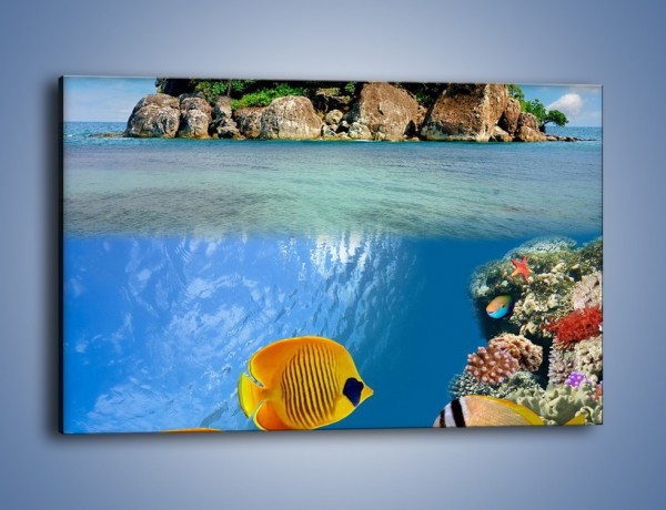 Obraz na płótnie – Podwodny świat na wyspie – jednoczęściowy prostokątny poziomy KN586
