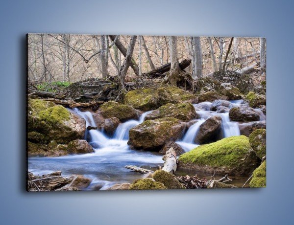 Obraz na płótnie – Rwący potok w chłodny dzień – jednoczęściowy prostokątny poziomy KN676
