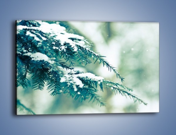 Obraz na płótnie – Odrobina śniegu na choince – jednoczęściowy prostokątny poziomy KN747