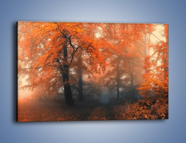 Obraz na płótnie – Mgła w czerwonym lesie – jednoczęściowy prostokątny poziomy KN804
