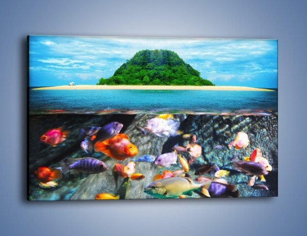 Obraz na płótnie – Kolorowy świat ryb – jednoczęściowy prostokątny poziomy KN906
