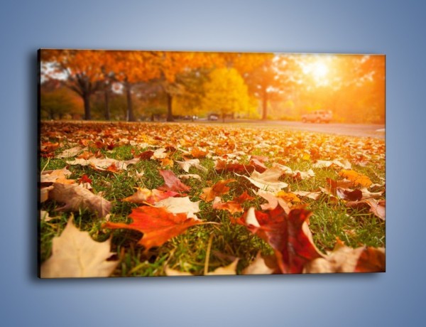 Obraz na płótnie – Jesień na trawie – jednoczęściowy prostokątny poziomy KN966
