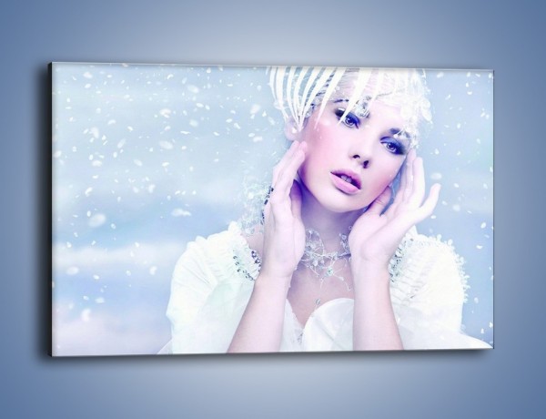 Obraz na płótnie – Delikatna królowa śniegu – jednoczęściowy prostokątny poziomy L224
