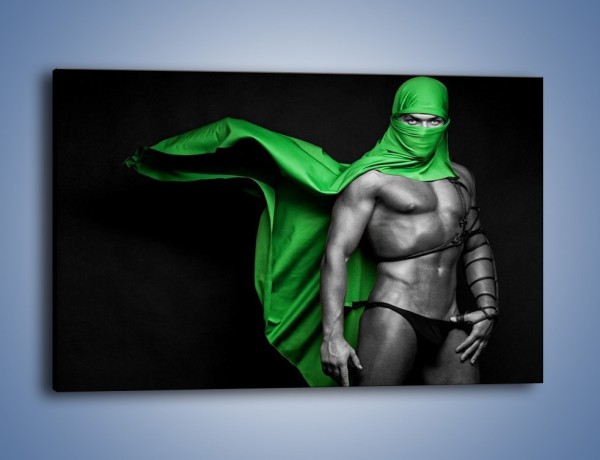 Obraz na płótnie – Zielony ninja – jednoczęściowy prostokątny poziomy L245