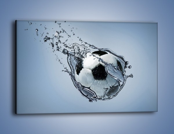 Obraz na płótnie – Piłka w wodnej skorupce – jednoczęściowy prostokątny poziomy O015