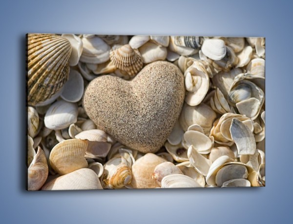 Obraz na płótnie – Miłość do muszli i morza – jednoczęściowy prostokątny poziomy O132