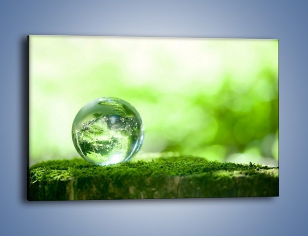 Obraz na płótnie – Roślinny świat w wodnej kuli – jednoczęściowy prostokątny poziomy O178