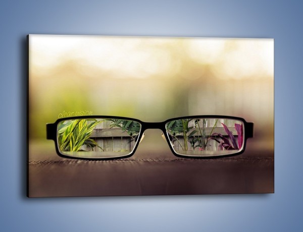 Obraz na płótnie – Świat widziany przez okulary – jednoczęściowy prostokątny poziomy O197