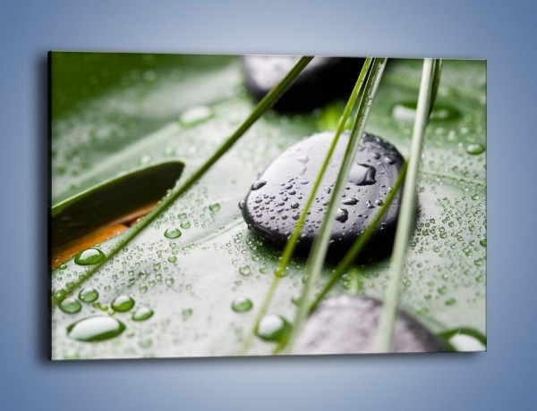Obraz na płótnie – Krople deszczu na liściu – jednoczęściowy prostokątny poziomy O203