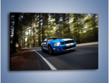 Obraz na płótnie – Ford Shelby GT500 – jednoczęściowy prostokątny poziomy TM039