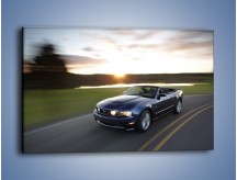 Obraz na płótnie – Ford Mustang Shelby GT500 na zakręcie – jednoczęściowy prostokątny poziomy TM051