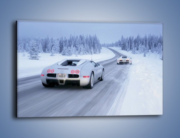 Obraz na płótnie – Bugatti Veyron w śniegu – jednoczęściowy prostokątny poziomy TM134