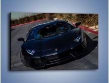 Obraz na płótnie – Lamborghini Aventador w kolorze matowym – jednoczęściowy prostokątny poziomy TM163