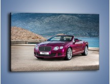 Obraz na płótnie – Bentley Continental Speed GT – jednoczęściowy prostokątny poziomy TM187