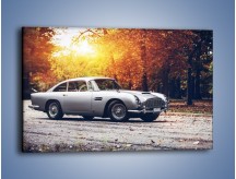 Obraz na płótnie – Aston Martin DB5 – jednoczęściowy prostokątny poziomy TM208