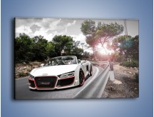 Obraz na płótnie – Audi R8 V10 Spyder – jednoczęściowy prostokątny poziomy TM209