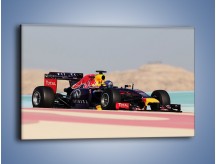 Obraz na płótnie – F1 Infiniti Red Bull – jednoczęściowy prostokątny poziomy TM241