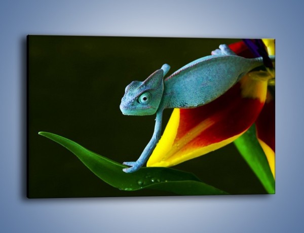 Obraz na płótnie – Liść w łapce kameleona – jednoczęściowy prostokątny poziomy Z005