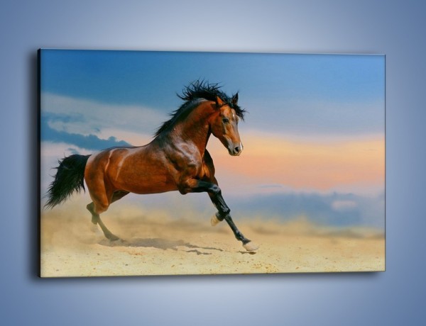Obraz na płótnie – Brązowy koń na pustyni – jednoczęściowy prostokątny poziomy Z011