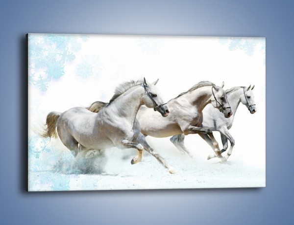 Obraz na płótnie – Końskie trio w zimowym pędzie – jednoczęściowy prostokątny poziomy Z063