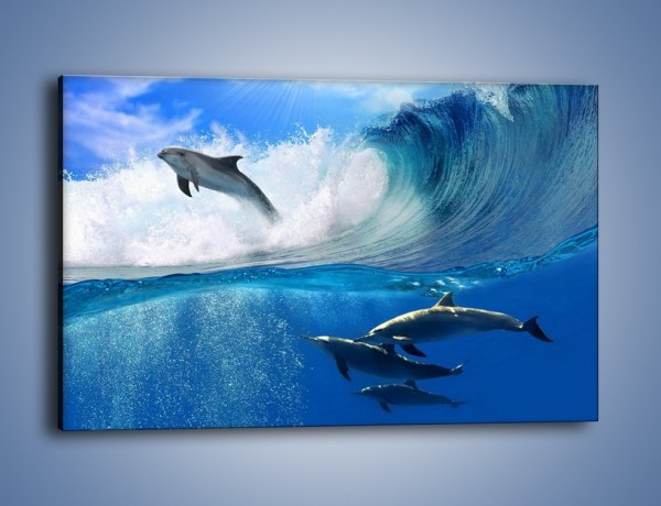 Obraz na płótnie – Z delfinami przez falę – jednoczęściowy prostokątny poziomy Z073