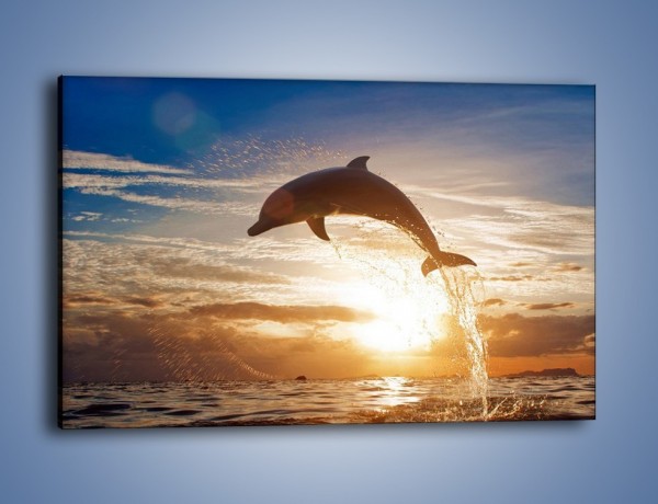 Obraz na płótnie – Z delfinem do nieba – jednoczęściowy prostokątny poziomy Z074