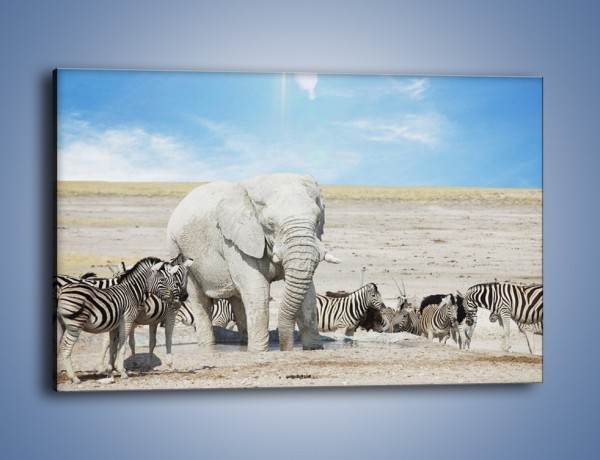 Obraz na płótnie – Słoń i jego przyjaciele – jednoczęściowy prostokątny poziomy Z080