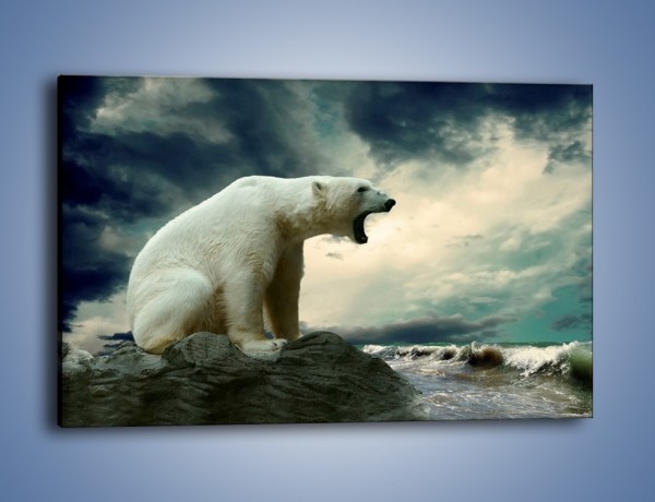Obraz na płótnie – Donośny krzyk polarnego niedźwiedzia – jednoczęściowy prostokątny poziomy Z114