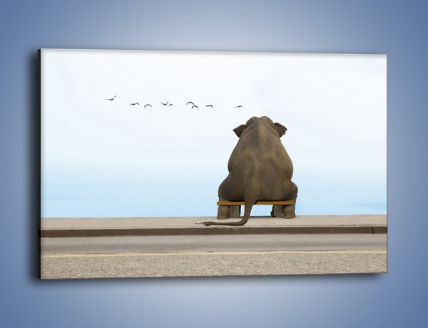 Obraz na płótnie – Przemyślenia słonia w samotności – jednoczęściowy prostokątny poziomy Z120