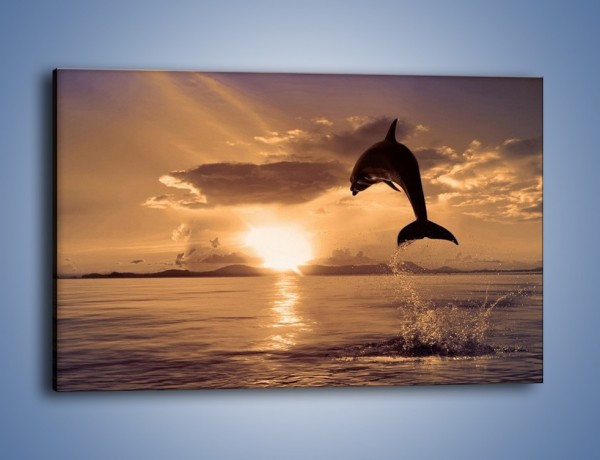 Obraz na płótnie – Z delfinem w stronę zachodzącego słońca – jednoczęściowy prostokątny poziomy Z170