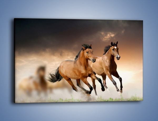 Obraz na płótnie – Uciec na koniu przed burzą – jednoczęściowy prostokątny poziomy Z180