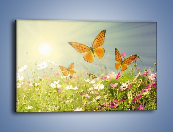 Obraz na płótnie – Z motylem wśród kwiatów – jednoczęściowy prostokątny poziomy Z193